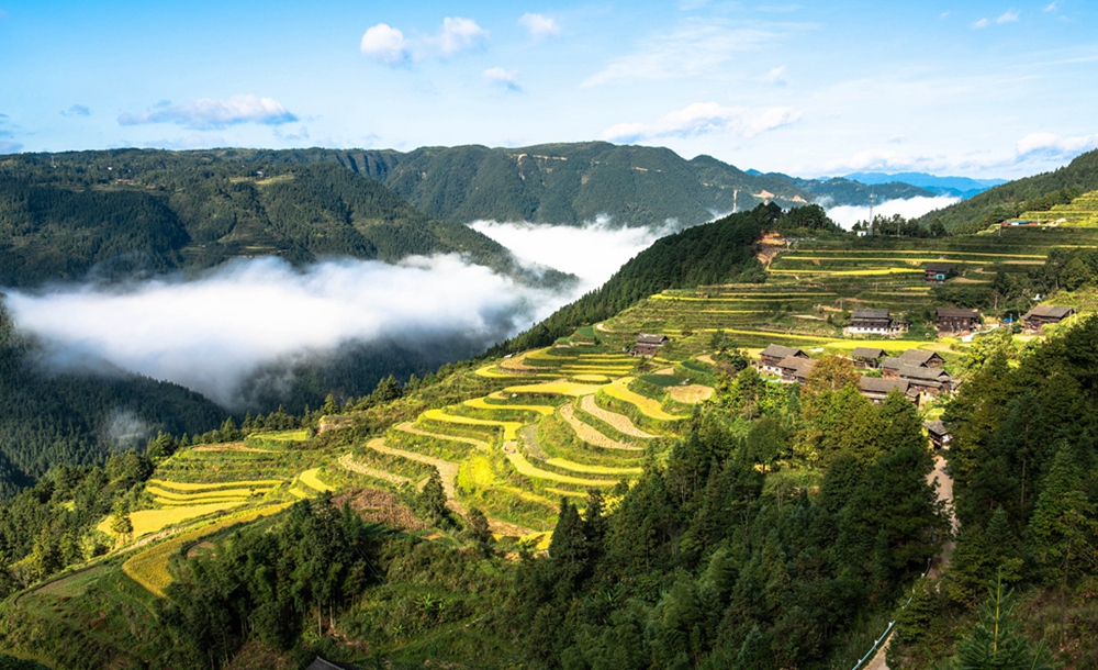 贵州天柱：稻菽千重浪 “丰”景伴骑行_fororder_天柱县梯田环绕的石洞柳寨。