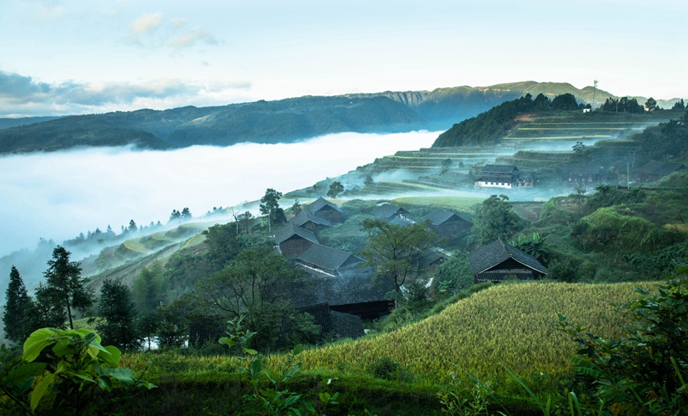 贵州天柱：稻菽千重浪 “丰”景伴骑行_fororder_天柱县石洞柳寨梯田晨景。