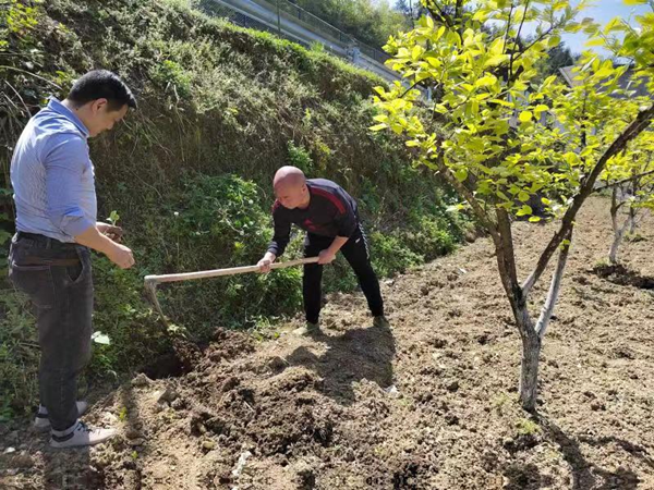 重庆市武隆区楠木村驻村第一书记谢林坤：一肩挑两担 做好乡村振兴和送法入村工作_fororder_图片2