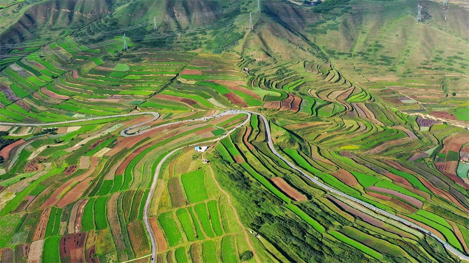 【轮播图】秋风拂山峦 田畴披锦绣 兰州榆中马坡似大地“调色盘”_fororder_1