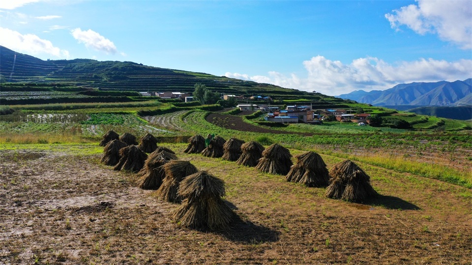 【轮播图】秋风拂山峦 田畴披锦绣 兰州榆中马坡似大地“调色盘”_fororder_6