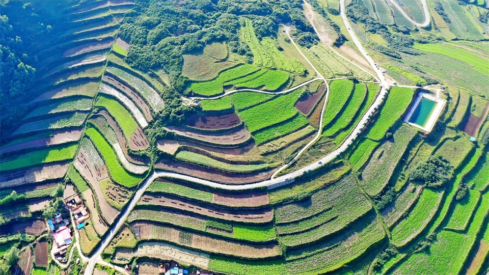 【轮播图】秋风拂山峦 田畴披锦绣 兰州榆中马坡似大地“调色盘”_fororder_8