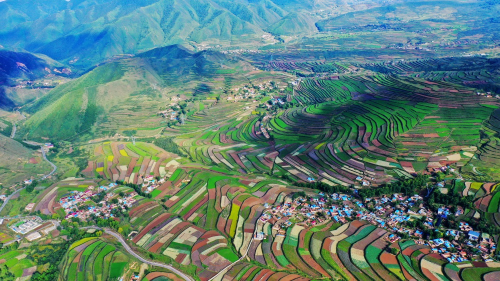 【轮播图】秋风拂山峦 田畴披锦绣 兰州榆中马坡似大地“调色盘”_fororder_5