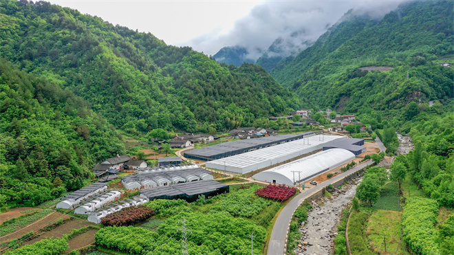 山林变绿都 富民兴乡村 安康市宁陕县以生态经济引领乡村振兴观察_fororder_宁陕县城关镇青龙垭村香菇种植基地。宁陕县乡村振兴局供图.JPG