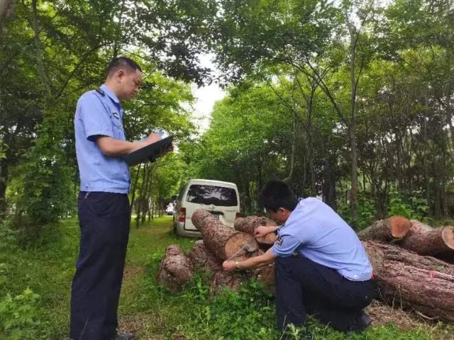 昆明森警亮出“百日行动”成绩单