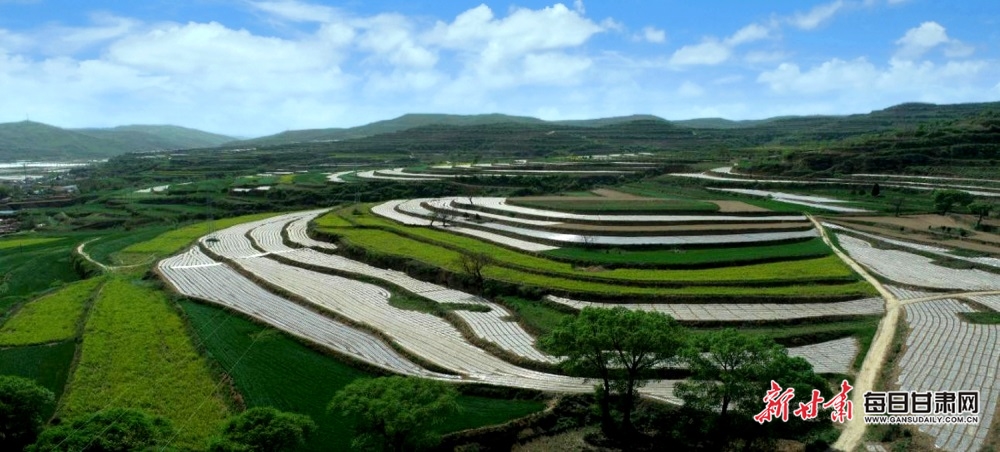 平凉崇信：治理水土流失 打造塬上新风景_fororder_2