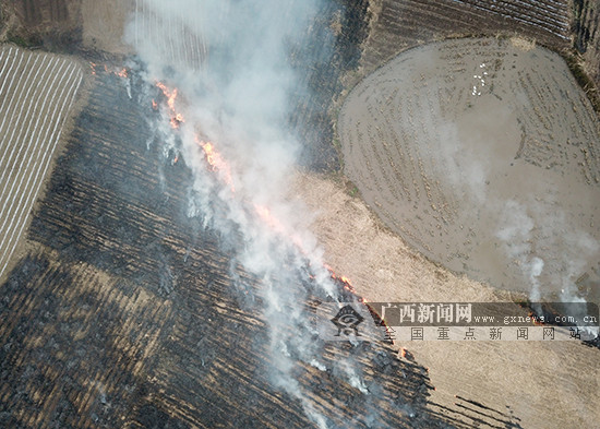 【广西要闻】广西多地存在秸秆焚烧现象 大气污染防控形势严峻（首页显示标题：广西强硬管控 做好大气污染防控工作）（摘要在文末）