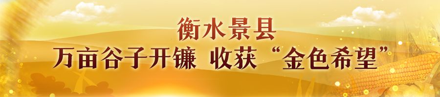 河北：科技助丰收 金秋结硕果