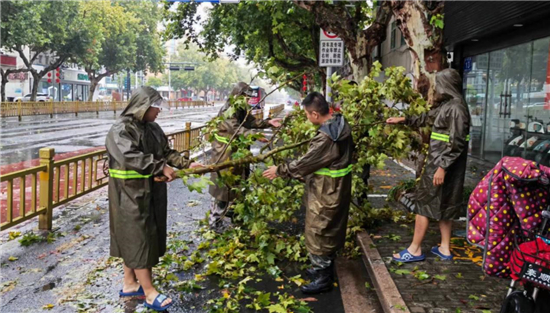 泰州海陵城中街道：闻“风”而动 坚守一线_fororder_2