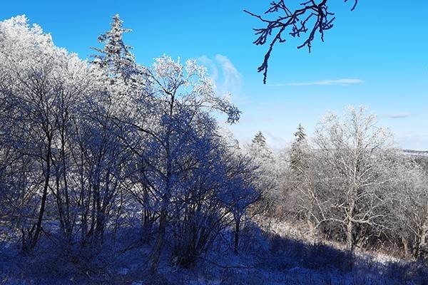 雪落凤凰山