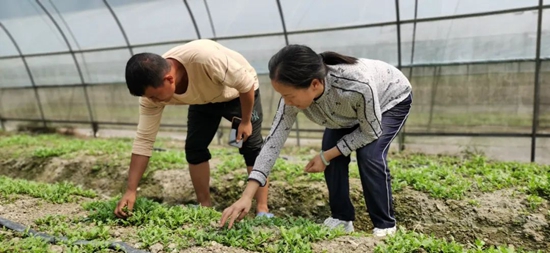 （供稿）贵州碧江：抢种速生蔬菜 保障群众“菜篮子”_fororder_674a6b1ba7ef7a0619fb00d703e92c5