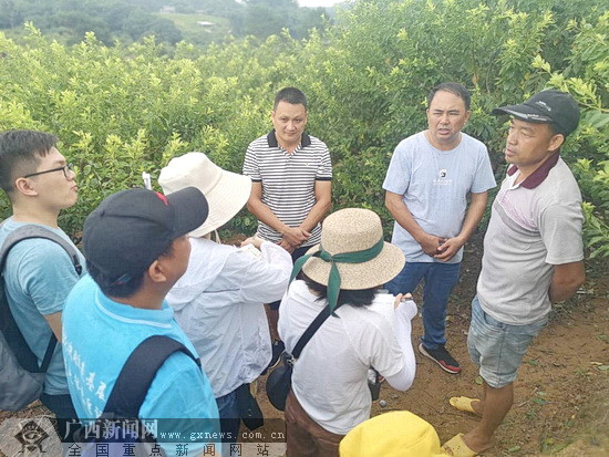 【你笑起来真好看】广西钦州：绷紧弦、不放松 坚决打赢脱贫攻坚战