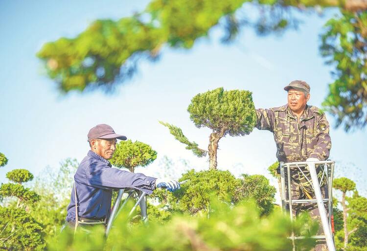 安徽：圆梦小康 再启新程_fororder_微信图片_20221018100511