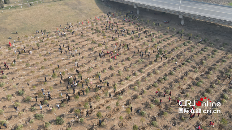 非凡十年｜渭南：厚植绿色生态底色 加快创建国家级森林城市_fororder_rBABCmIrHpKACSe2AAAAAAAAAAA191.3520x1980.750x422