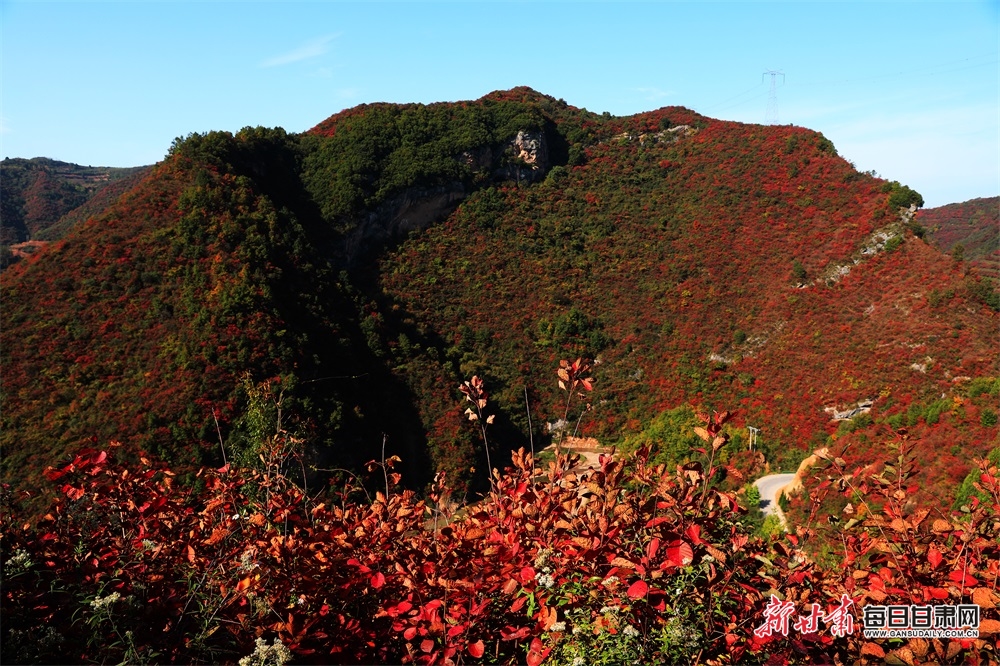 陇南：深秋，两当山乡似浓墨重彩的山水画_fororder_5