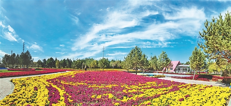 大庆油田 “加油增气”向百年挺进