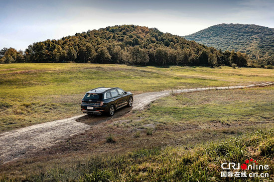 20万级大六座四驱旗舰SUV 北京现代第四代胜达旅行家上市_fororder_image005