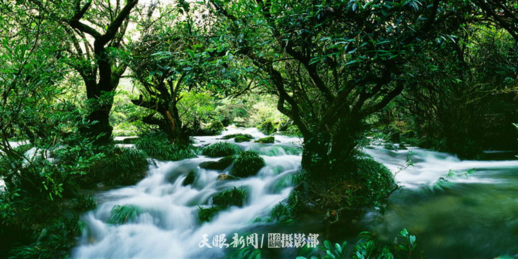 荔波喀斯特绿宝石