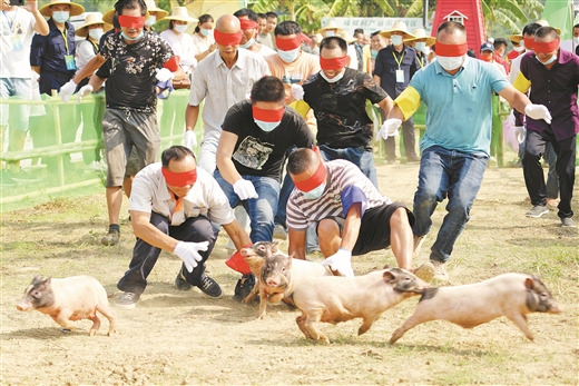 广西灵川：稻香鱼肥庆丰年