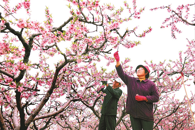 农业文化遗产 “苏写”时代荣光