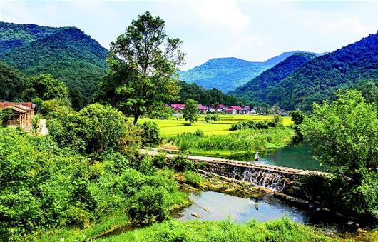 钟祥乡村：让游客沉浸式度假