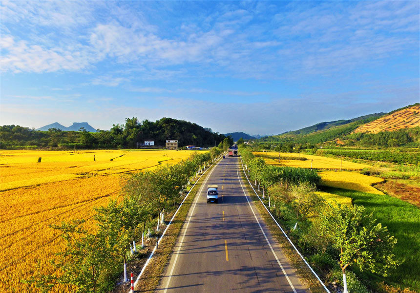 通往秋天的“壮美公路”