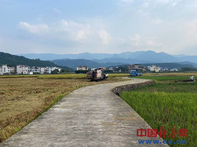 【美丽中国·网络媒体生态行】禾下乘凉不是梦 盈车嘉穗正当时