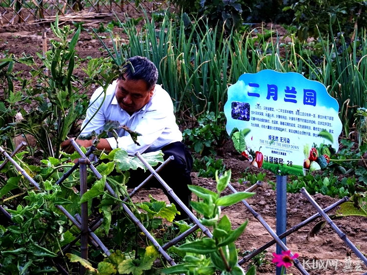 雄安新区黄湾村：走进共享农场 乐享田园时光