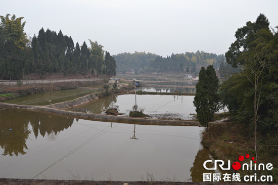 已过审【新春走基层专题　要闻标题摘要】【区县联动】【大足】【网络媒体走转改】刘云返乡创业为鱼忙 历经坎坷年收500万元【区县联动　列表】刘云返乡创业养鱼 年收入500万元