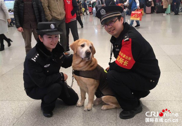 【已过审】【焦点图】【八桂大地、八桂大地-南宁】【移动端】警犬 “泰森”：最后一次服役南宁春运