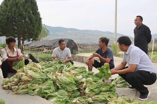 （供稿）贵州思南：发展千亩蔬菜 助农增收致富_fororder_塘头镇党委副书记、镇长李春天到坚强村调研.JPG