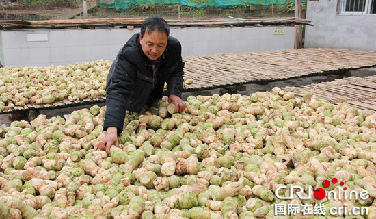 已过审【新春走基层专题　要闻标题摘要】【区县联动】【铜梁】【网络媒体走转改】重庆水碾村 咸菜路上绘就乡村振兴美图【区县联动　列表】重庆水碾村 咸菜路上绘就乡村振兴美图