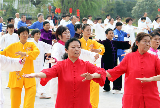 河南南阳卧龙岗文化园开园_fororder_群众在卧龙岗文化园内表演太极.JPG