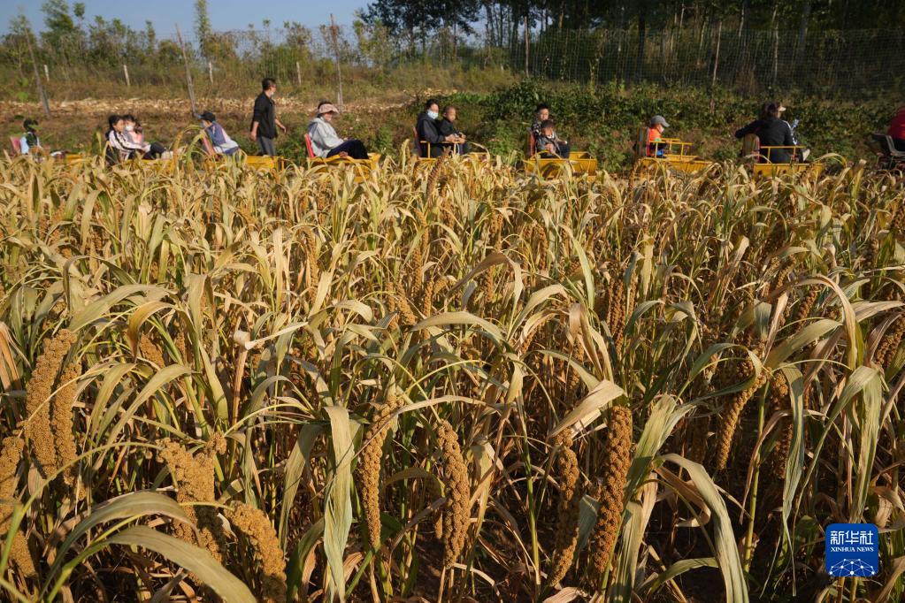 北京：农场休闲游助力乡村经济