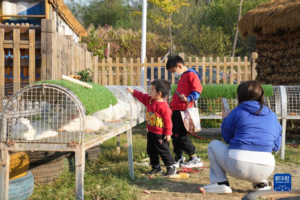 北京：农场休闲游助力乡村经济