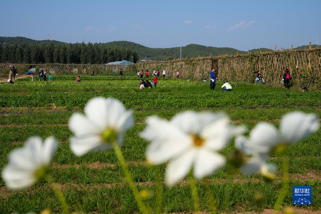 北京：农场休闲游助力乡村经济