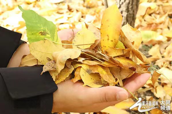 国庆与大同来一场秋的邂逅吧