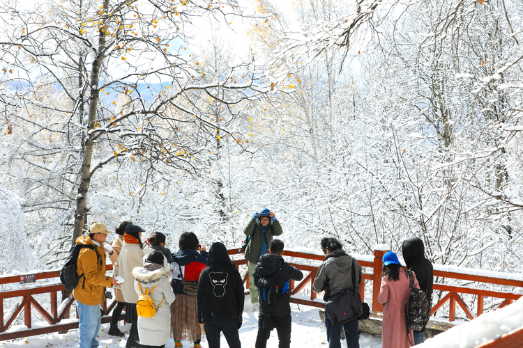 图片默认标题_fororder_在阿尔山国家森林公园内来一场打雪仗。赖志强摄