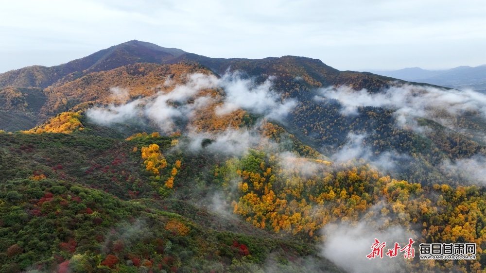 【轮播图】兰州：晚秋烟雨着墨色 兴隆美景醉山峦_fororder_3