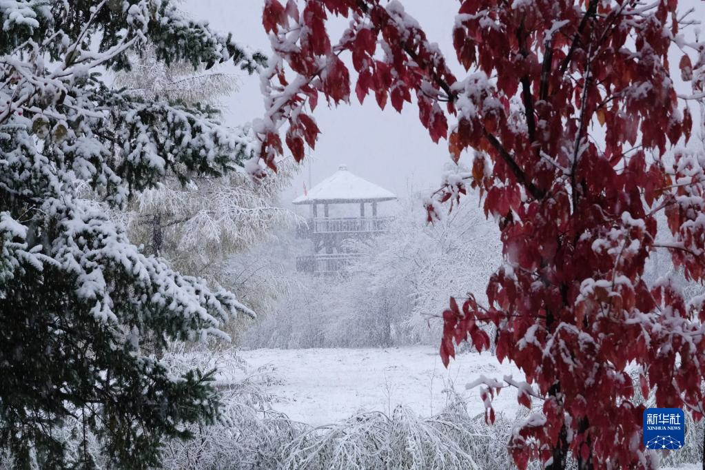 吉林多地迎来降温降雪_fororder_1129058289_16653863667781n