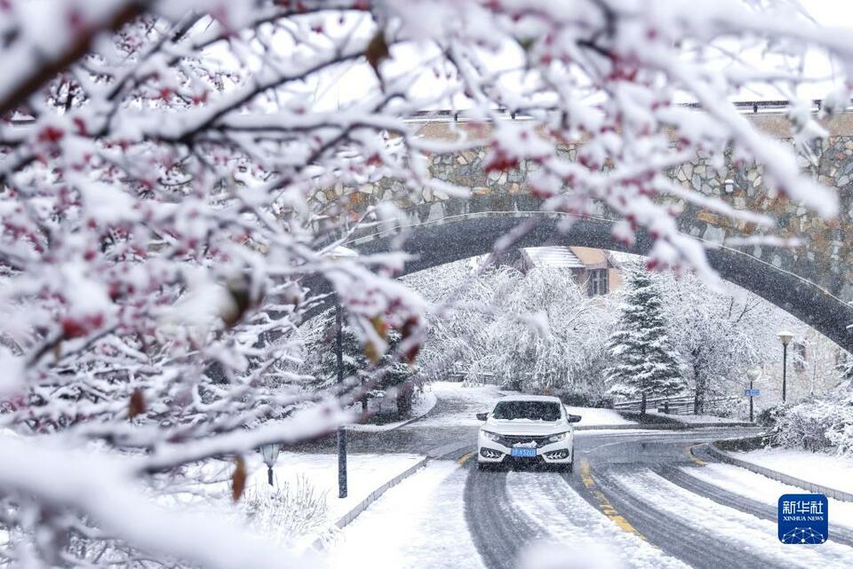 吉林多地迎来降温降雪_fororder_1129058289_16653863666551n