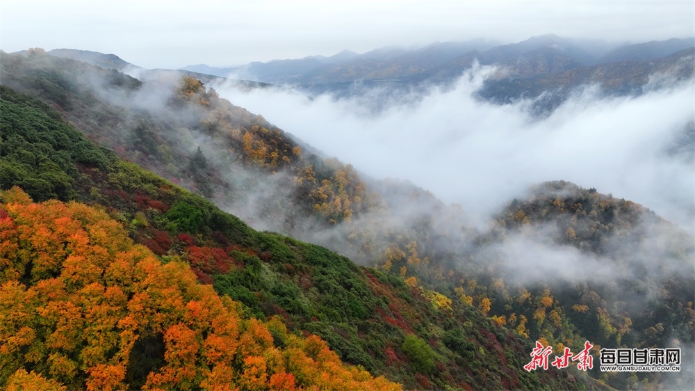 【轮播图】兰州：晚秋烟雨着墨色 兴隆美景醉山峦_fororder_2