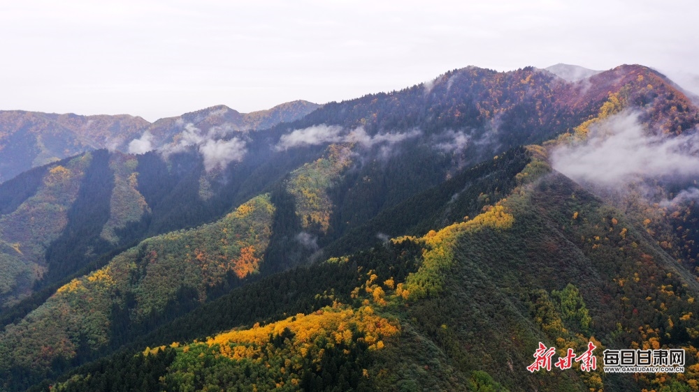 【轮播图】兰州：晚秋烟雨着墨色 兴隆美景醉山峦_fororder_4