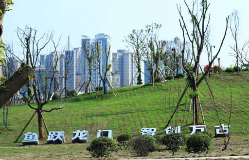 【原创】重庆市大足区万古镇：昔日荒坡变公园 群众畅游笑开颜_fororder_微信图片_20221014145721