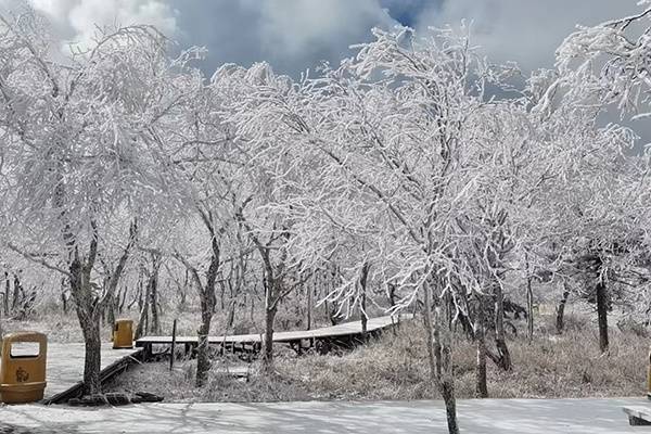 雪落凤凰山