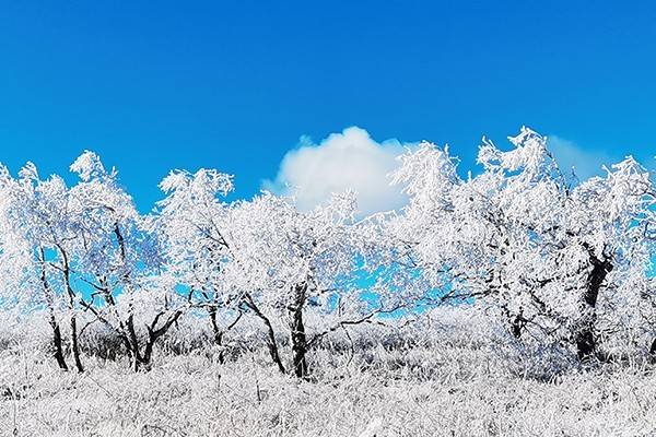 雪落凤凰山