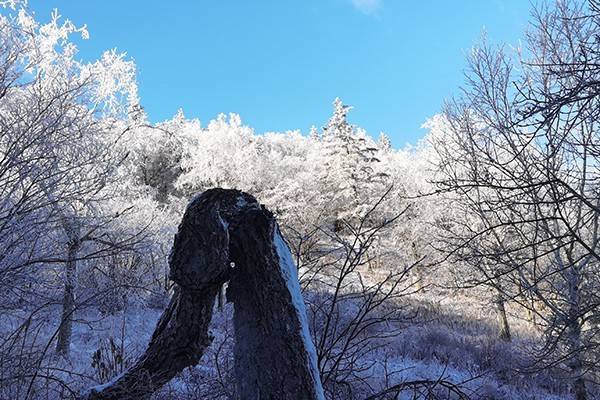 雪落凤凰山