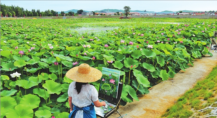 林口林区育一片花海火一方旅游