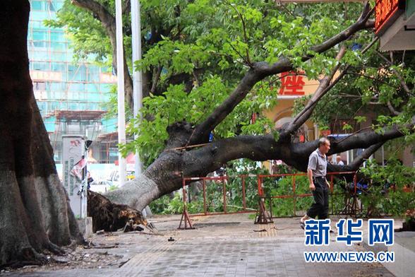 7月进入拉尼娜状态 我国海洋灾害呈偏重趋势