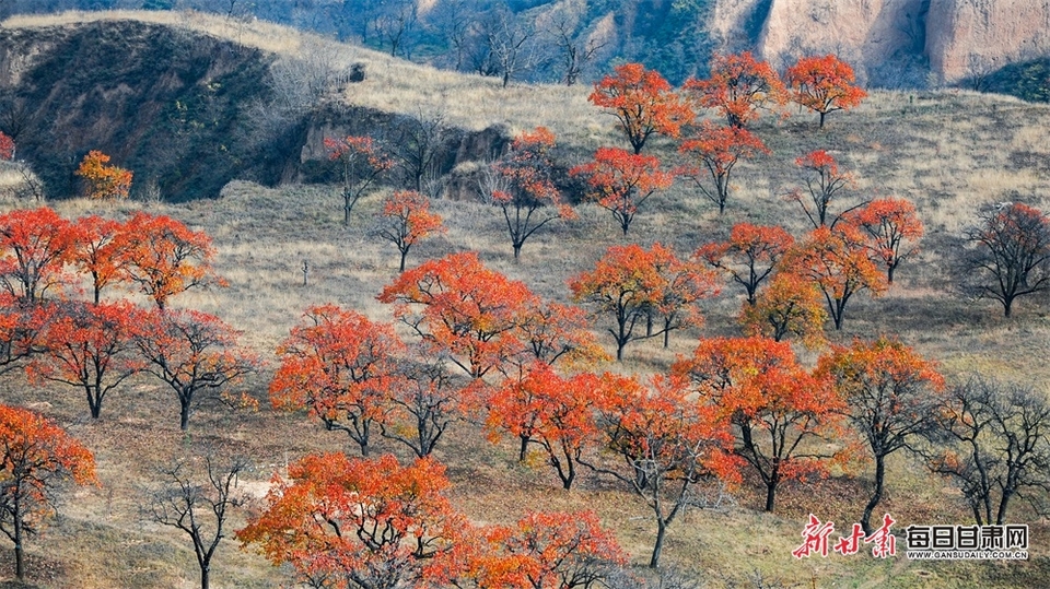 【平凉】平凉崇信五龙山初冬景色绚丽多姿_fororder_3